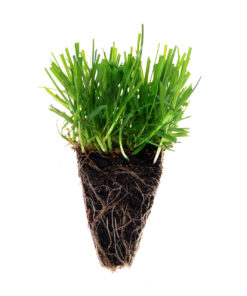 V E1